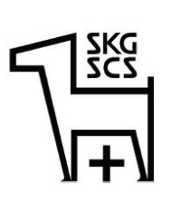 Logo_SKG_Klein